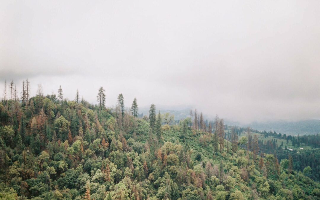 Together, We Can Make a Difference