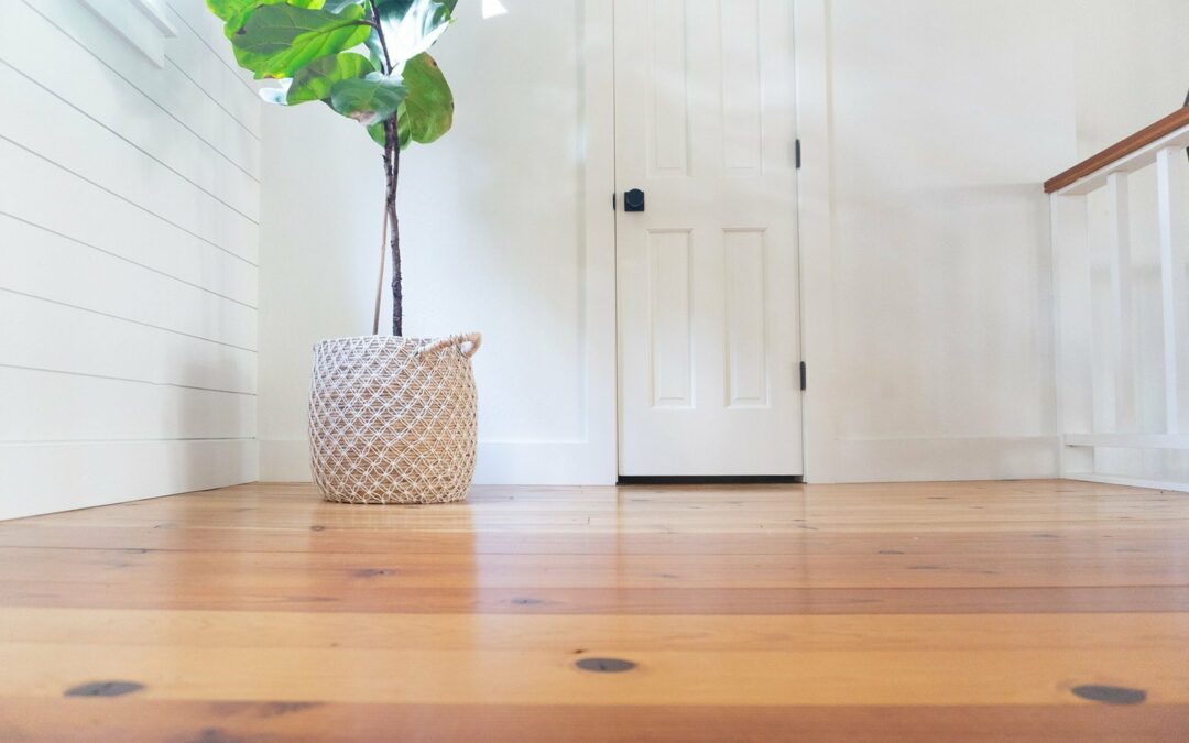 From Leaky Faucets to Loose Hinges—We’ve Got You Covered