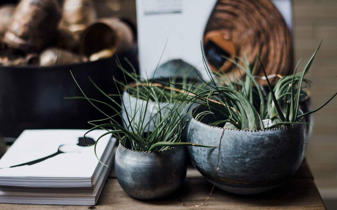 Design That Converts: UX Solutions for Modern Brands