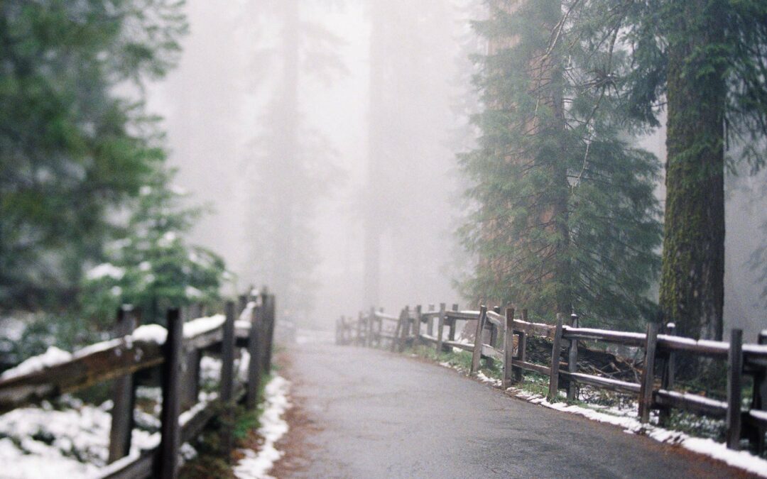 The Ultimate [Country/City] Travel Guide