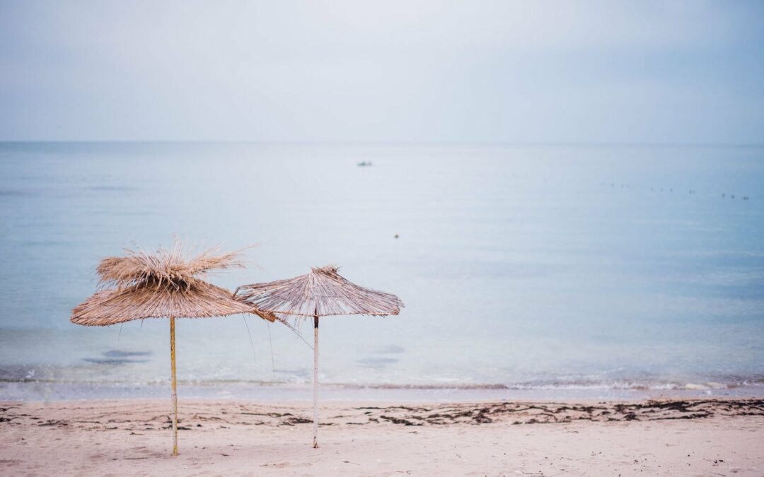 Another Day, Another Destination